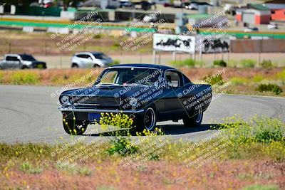media/Apr-27-2024-LA Shelby Club (Sat) [[ca61902bd2]]/White Group/Session 1 (Turn 2)/